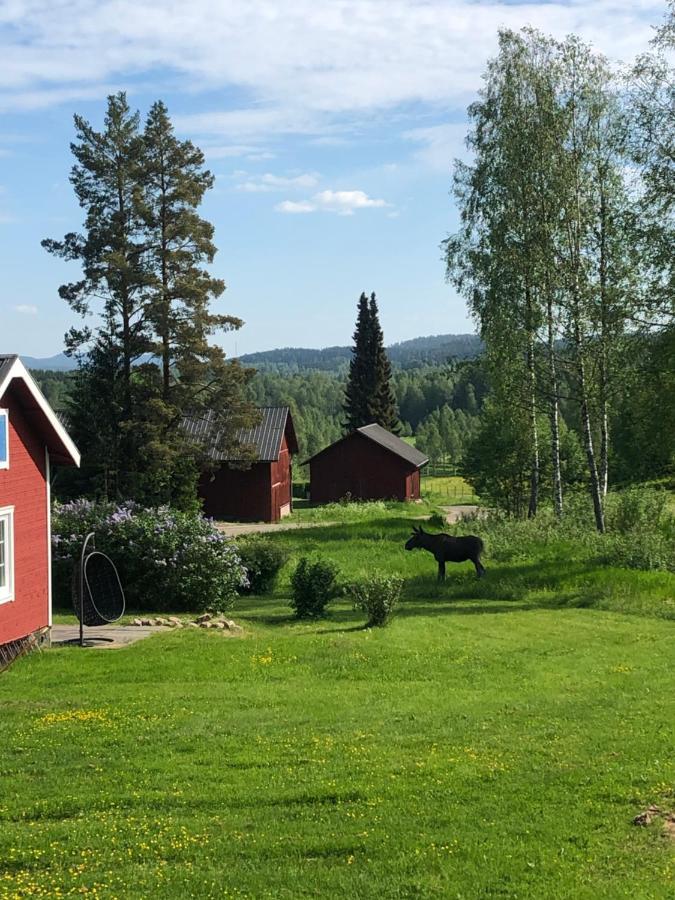 Mysig Timmerstuga Med Braskamin Naera Hovfjaellet Torsby Ngoại thất bức ảnh