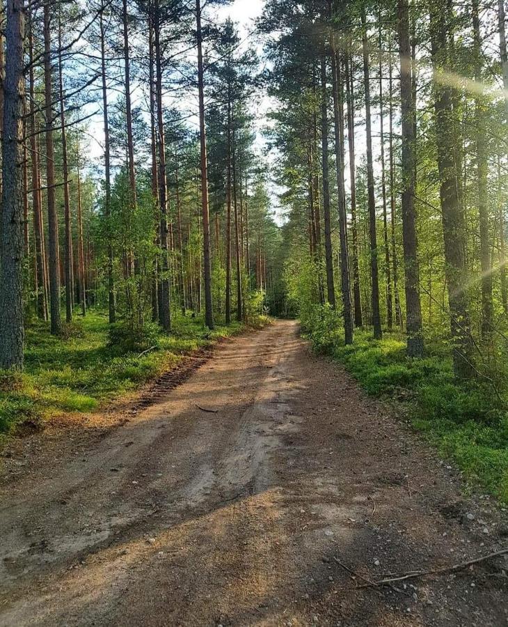 Mysig Timmerstuga Med Braskamin Naera Hovfjaellet Torsby Ngoại thất bức ảnh